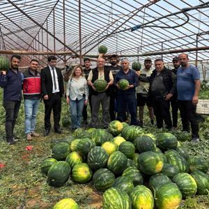 Serikte örtü altı üretimde 37 bin ton karpuz beklentisi