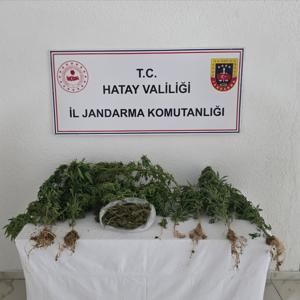 Hatay’da uyuşturucu operasyonları: 67 gözaltı