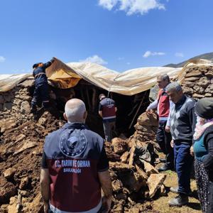 Bingölde ahırın tavanı çöktü; 1 inek öldü, 10u kurtarıldı