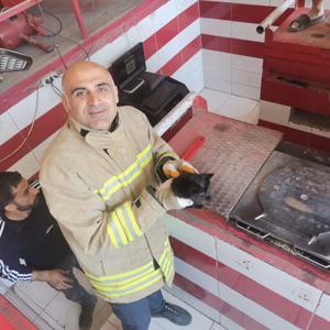 Otomobilin motor kısmına sıkışan yavru kedi kurtarıldı