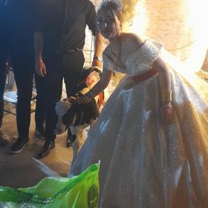Düğünde gelin ve damada at ve buzağı hediyesi