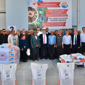 Mersinde çiftçilere ayçiçeği tohumu dağıtıldı