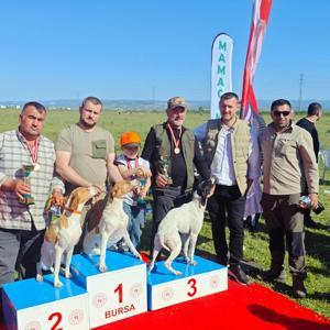 Fermalı av köpekleri yarıştı; avcılar yoğun ilgi gösterdi