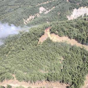 Çanakkalede çıkan orman yangını 1 saatte kontrol altına alındı