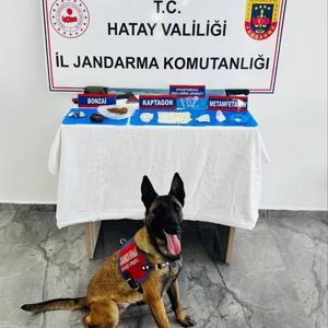 Kırıkhanda Uyuşturucu Operasyonu: 1013 Hap Ele Geçirildi