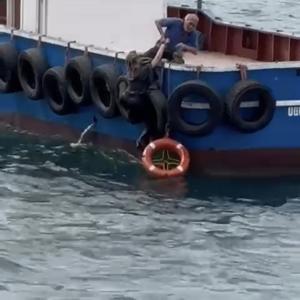 İstanbul - Kartalda vapurdan denize düşen kadını balıkçılar kurtardı