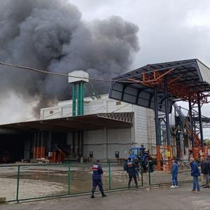 Sakaryada fındık kırım fabrikasında yangın: 2,5 saatte kontrol altına alındı