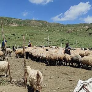 Terörün bitmesi ekonomiye ne katar