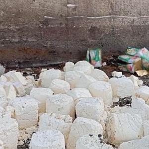 İzmirde iki soğuk hava deposunda 7 ton 12 kilo bozuk süt ürünü ele geçirildi