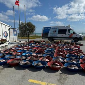 İstanbul- Arnavutköyde kaçak avlanan 900 kalkan balığına el konuldu