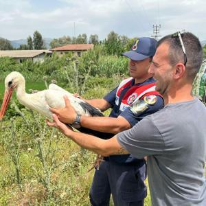 Aydında avcıların vurduğu yaralı leylek, 3 aylık tedavinin ardından doğal ortamına bırakıldı