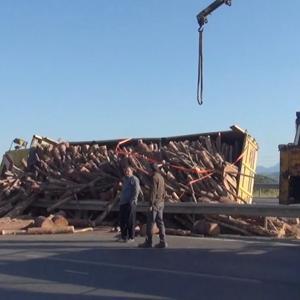 Tomruk yüklü kamyon devrildi