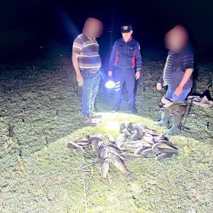 Uluabat Gölünde Kaçak Avcılara Baskın