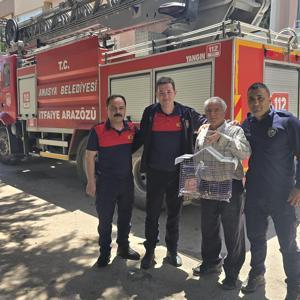 Kaçan muhabbet kuşunu yakalamak istedi, ağaçta mahsur kaldı