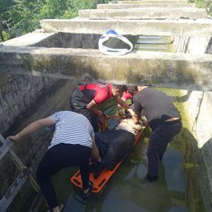 Sulama kanalına düştü, itfaiye kurtardı