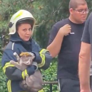 Yangın çıkan dairede mahsur kalan kediyi, itfaiyeci Melisa kurtardı