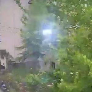 Bartında şiddetli rüzgar; ağaçlar devrildi