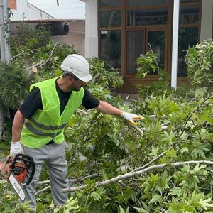 Turgutluda şiddetli rüzgar; ağaçlar devrildi