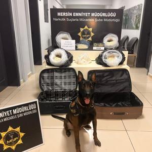 Mersinde 324 bin uyuşturucu hap ele geçirildi