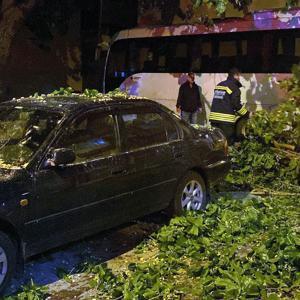 Çorluda ağaç park halindeki otomobilin üzerine devrildi