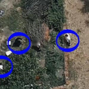 İznikte 7,5 Yıl Hapis Cezası Olan Şahıs Dronla Yakalandı