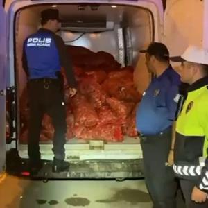 Samsunda Kaçak Midye Operasyonu