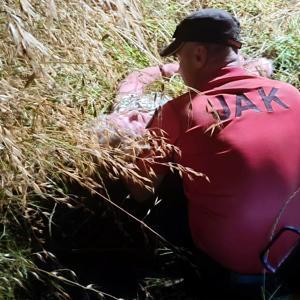 Manavgatta kayıp kadın çalılıkların arasında yatarken bulundu