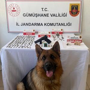 Gümüşhanede 165 sikke ele geçirildi