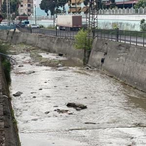 Rize’de derede balık ölümlerine inceleme