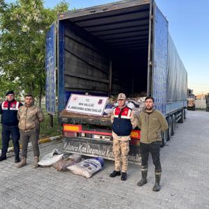 Vanda denetimlerde 22 ton 475 kilogram inci kefali ele geçirildi