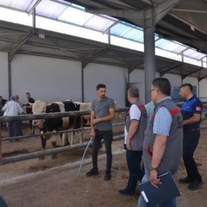 Kurbanlık hayvan satış alanlarında denetim
