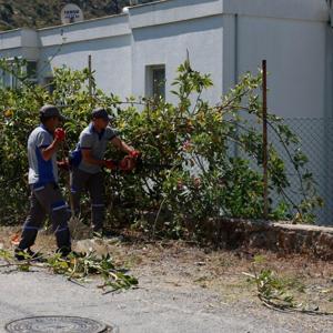 Bodrumda ot ve budama temizliğinin bu defaki adresi Akyarlar Mahallesi oldu