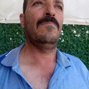 Ayının elinden dakika farkıyla kurtuldu, arı sokması sonucu hastanelik oldu