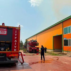 Ankarada Yumurta Tesisinde Yangın: 150 Bin Tavuk Öldü