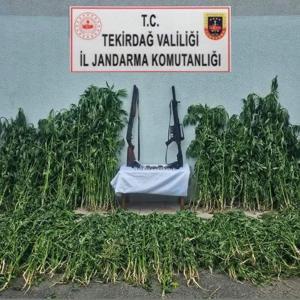 Tekirdağda uyuşturucu operasyonunda 3 gözaltı