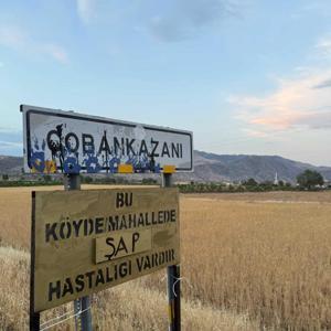 Şırnakta şap hastalığı görülen köye hayvan giriş çıkışları yasaklandı