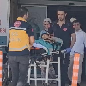 Kurban kesilen bahçede bıçağın üzerine düşen Çınar ağır yaralandı