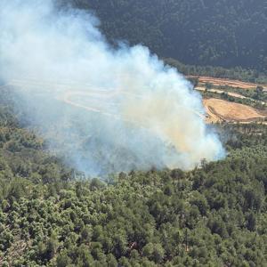 Balıkesirde çıkan orman yangınına müdahale ediliyor