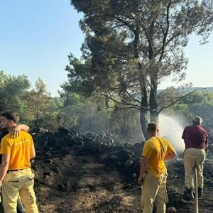 Mangal yaparken ormanı yakmış; tutuklandı