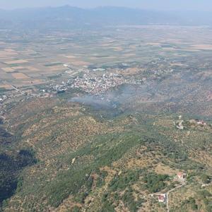 Aydında, tarım arazisindeki yangın 1,5 saatte söndürüldü