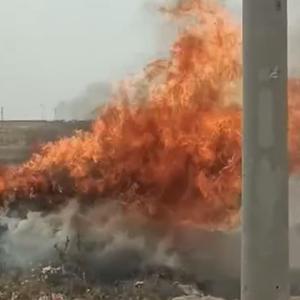 Nusaybin’de istiflenen çalılar yandı