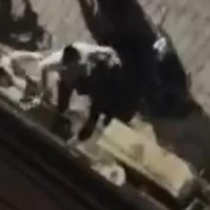 Şanlıurfada taş, pala ve silahlı kavga kamerada; 2 yaralı