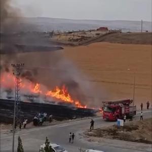 Batmanda 30 dönüm ekili buğday yandı