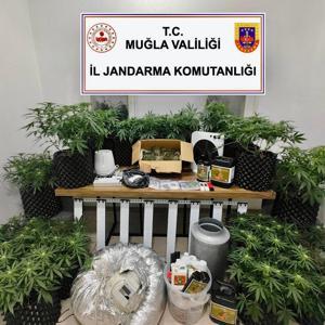 Bodrumda uyuşturucuya 1 tutuklama