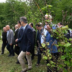 TBMM Komisyonu, Düzce ve Sakaryada zirai dondan etkilenen bahçeleri inceledi