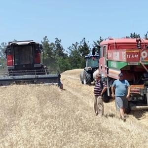 Geliboluda biçerdöverle hububat hasadı arazöz refakatinde yapıldı