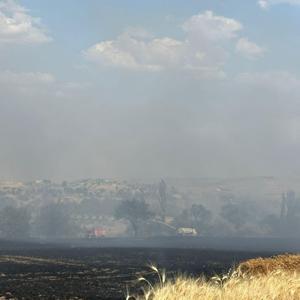 Ergani’de çıkan yangında 200 dönüm arazi zarar gördü