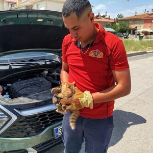Erzincan’da otomobilin motor bölümüne sıkışan kedi yavrularını itfaiye kurtardı
