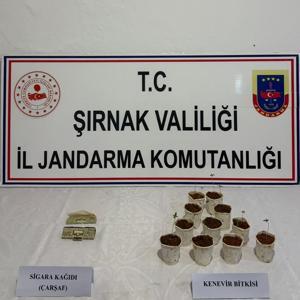 Şırnakta 1 Milyon 550 Bin TLlik Kaçak Malzeme Ele Geçirildi