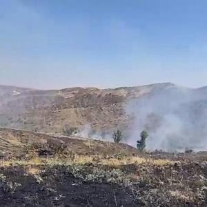 Bingöl’de çıkan örtü yangını 2 saatte söndürüldü